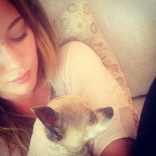 Hilary Duff, Dog, Twit Pic Hilary Duff, Dog, Twit Pic